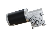 Rhino 24V 100RPM 20kg-cm 50W PMDC Worm Geared motor [RMCS-2094