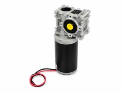 Rhino 24V 100RPM 20kg-cm 50W PMDC Worm Geared motor [RMCS-2094