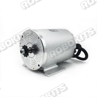 48v 1000w brushless motor online